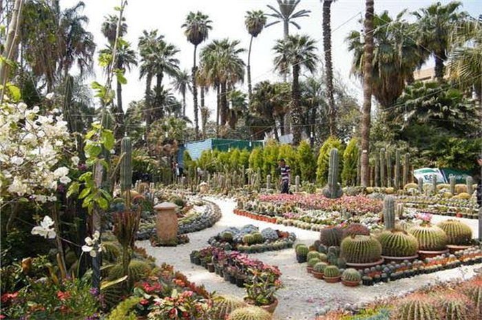  Orman Garden حديقة الأورمان