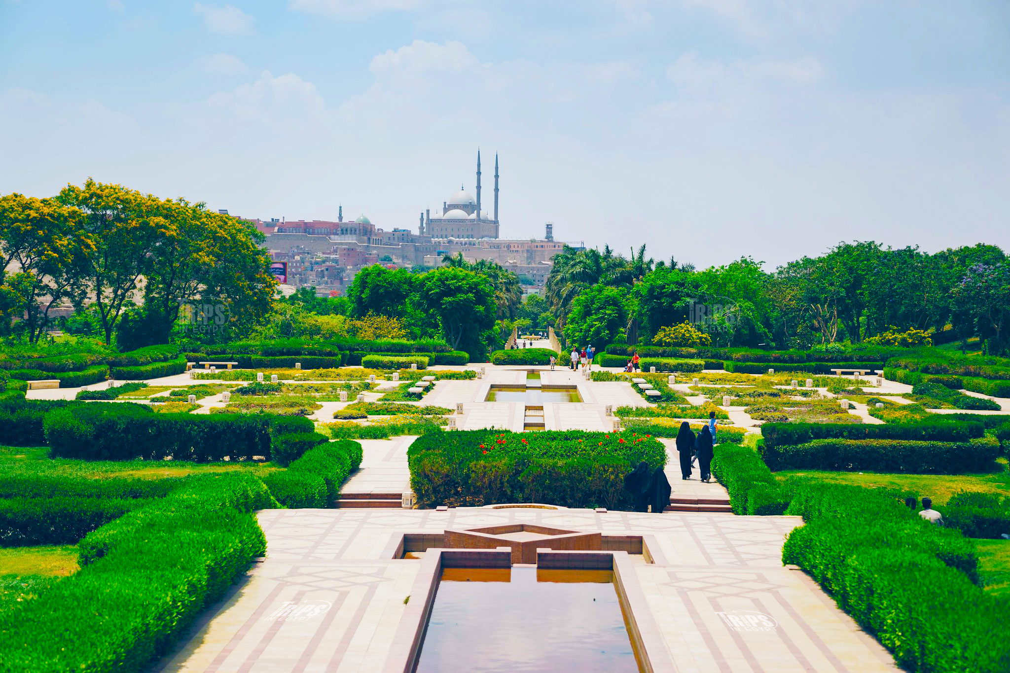 Best parks in Cairo أفضل الحدائق في القاهرة